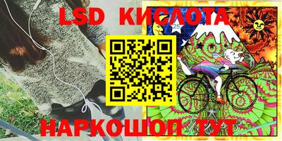 прущие крисы Бийск