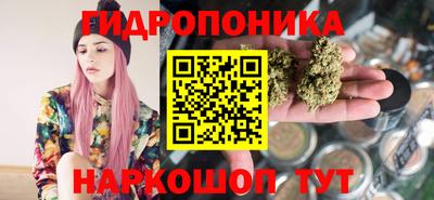 прущие крисы Бийск