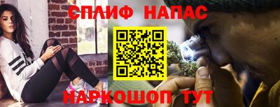 прущие крисы Бийск