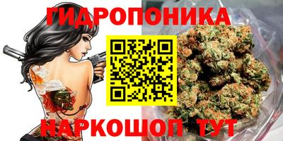 прущие крисы Бийск