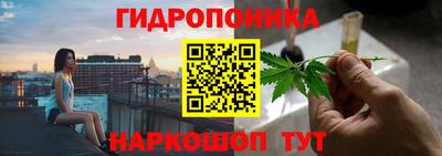 прущие крисы Бийск