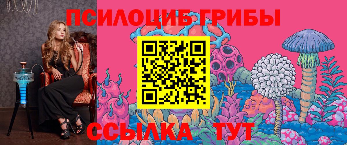 Псилоцибиновые грибы мухоморы Будённовск