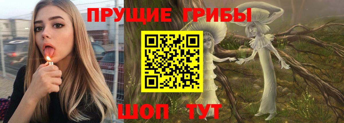 Галлюциногенные грибы Magic Shrooms  Вход с VPN  Псилоцибиновые грибы мицелий  Будённовск 